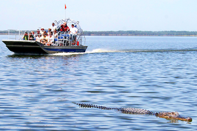 airboat-rides