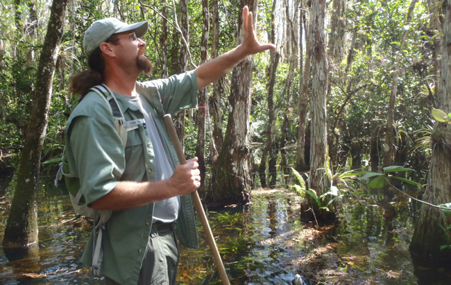 big-cypress-swamp-walk-1