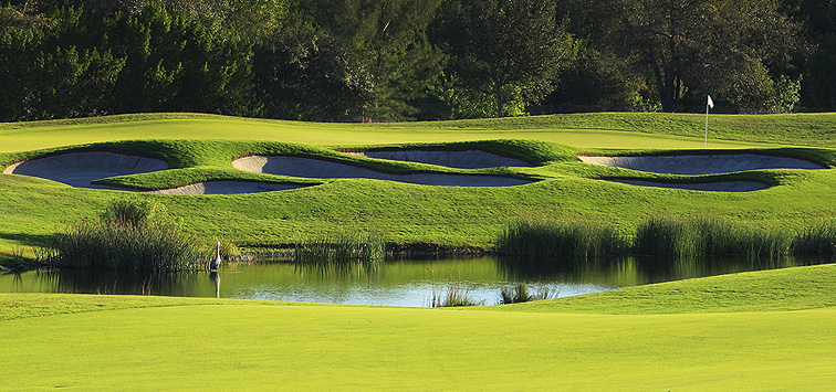 hammock-bay-golf